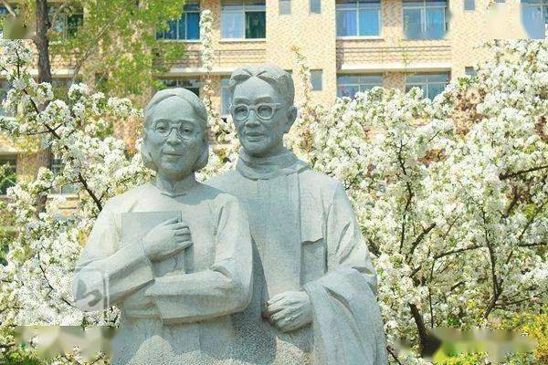 冯沅君老山东大学唯一女性一级教授南阳三冯之一