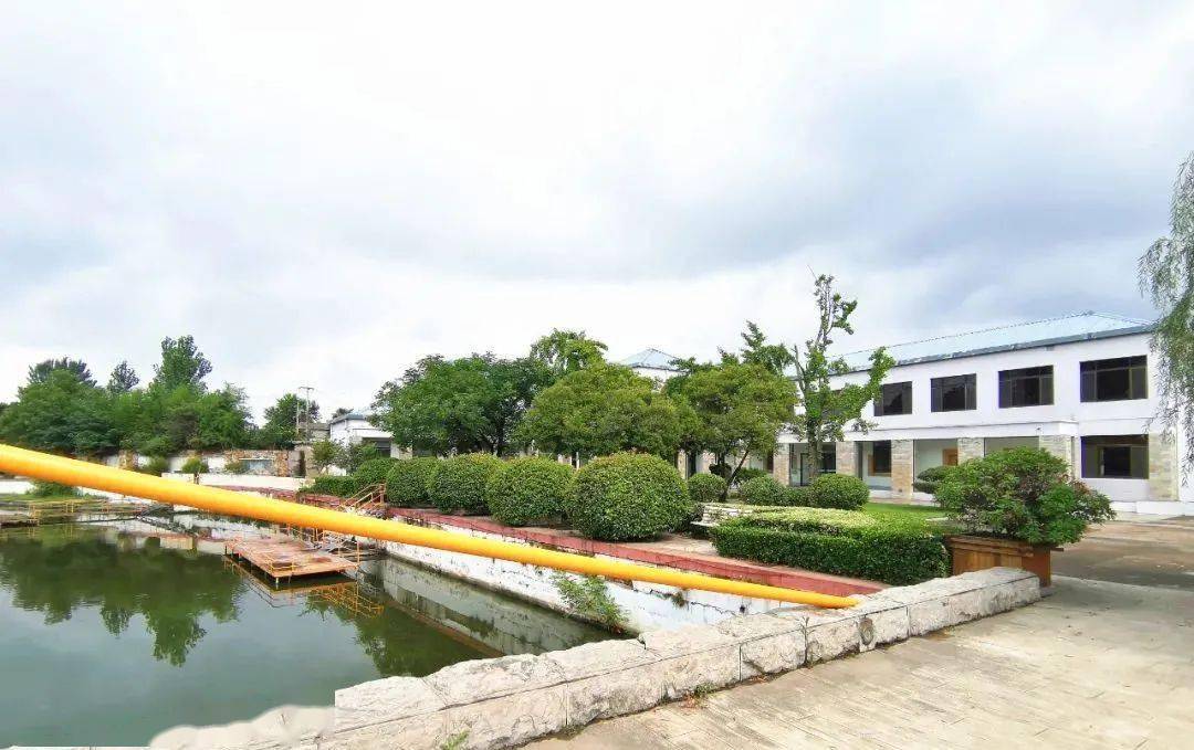 市十佳美丽乡村之市中区税郭镇东北村