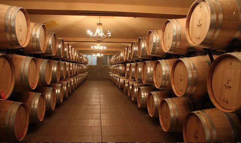 葡萄|周末好时光,沿着贺兰山东麓寻源、探秘、品鉴,来一场与众不同的酒庄之旅!