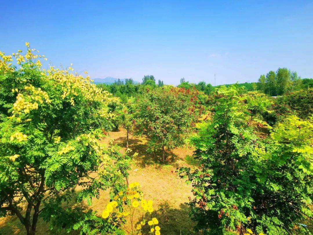 丰台区最西边的这个村!绿水青山变成金山银山