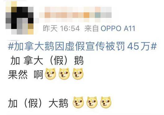 网友|动辄上万一件还总断货的网红羽绒服“翻车”！网友：加拿大鹅还是加拿大鸭？