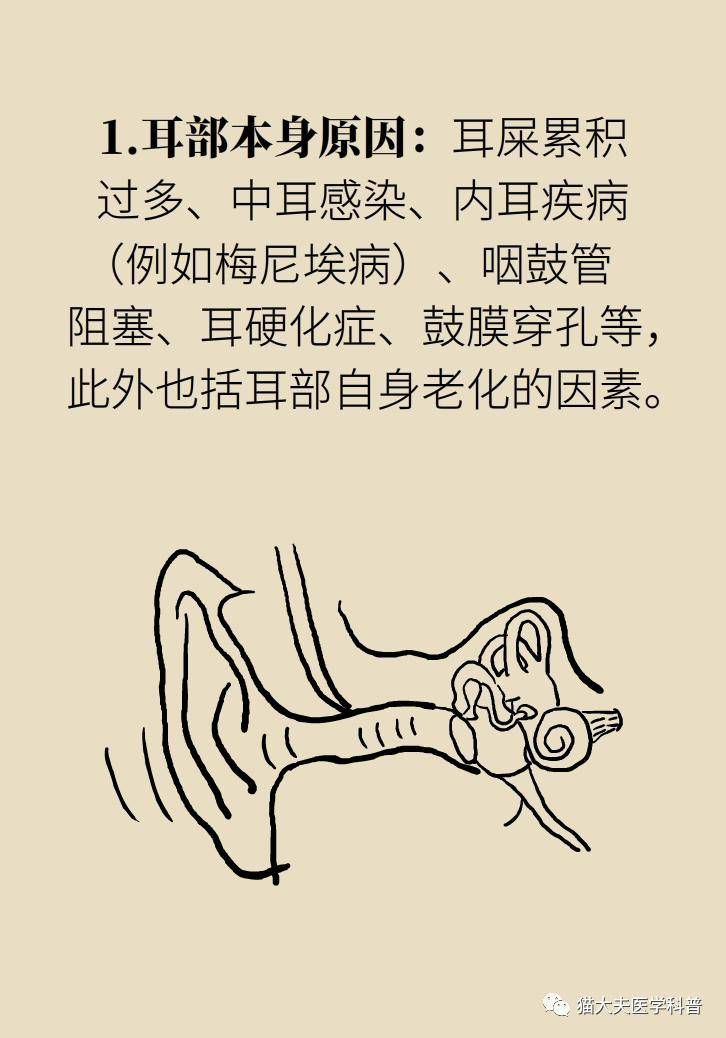 张明山|耳鸣是人老了听力不行了？错，可能藏着个大病