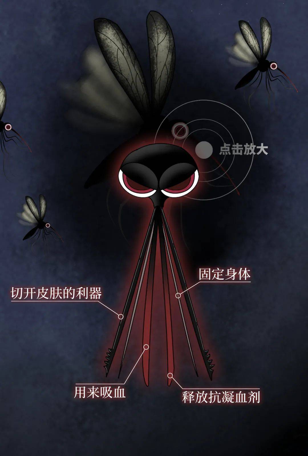 评论|被蚊子咬了，再痒也别挠，教你3招马上止痒