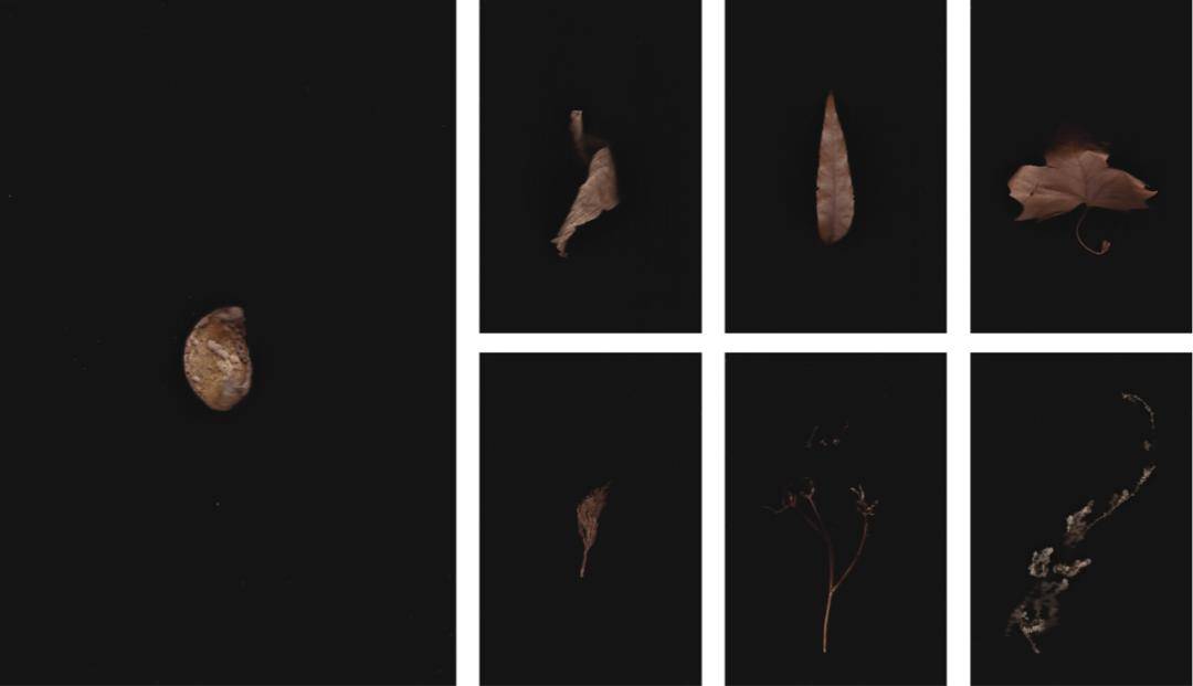 量子|量子观察者（2011-2021）：送另一个我去另一个宇宙