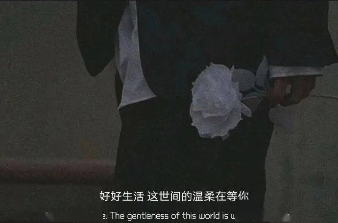 558971ab0f4a4e6991c13d0380850835.jpeg