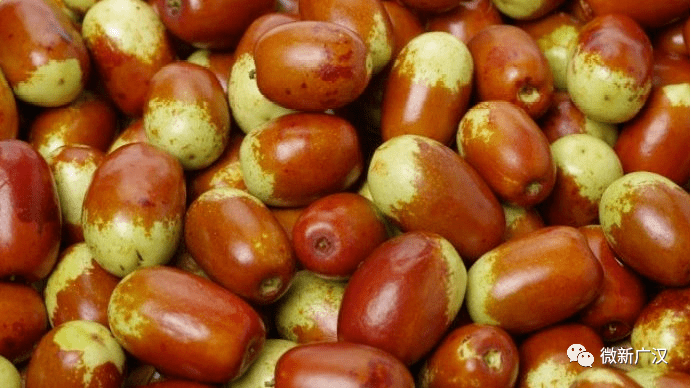 one话题尝鲜要趁枣广汉连山200余亩枣子熟了赶紧来摘