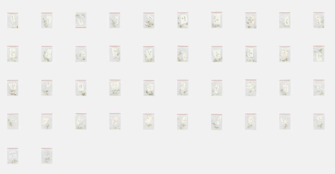 量子|量子观察者（2011-2021）：送另一个我去另一个宇宙