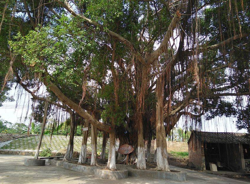 肇庆首次捧回这项"国字号"荣誉!