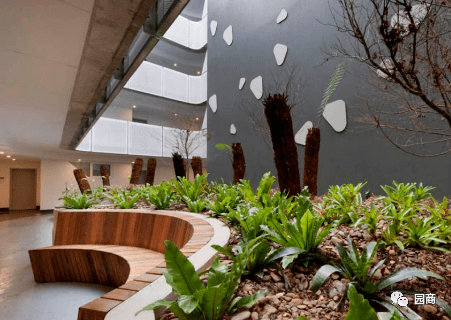 建筑中庭景观的打造