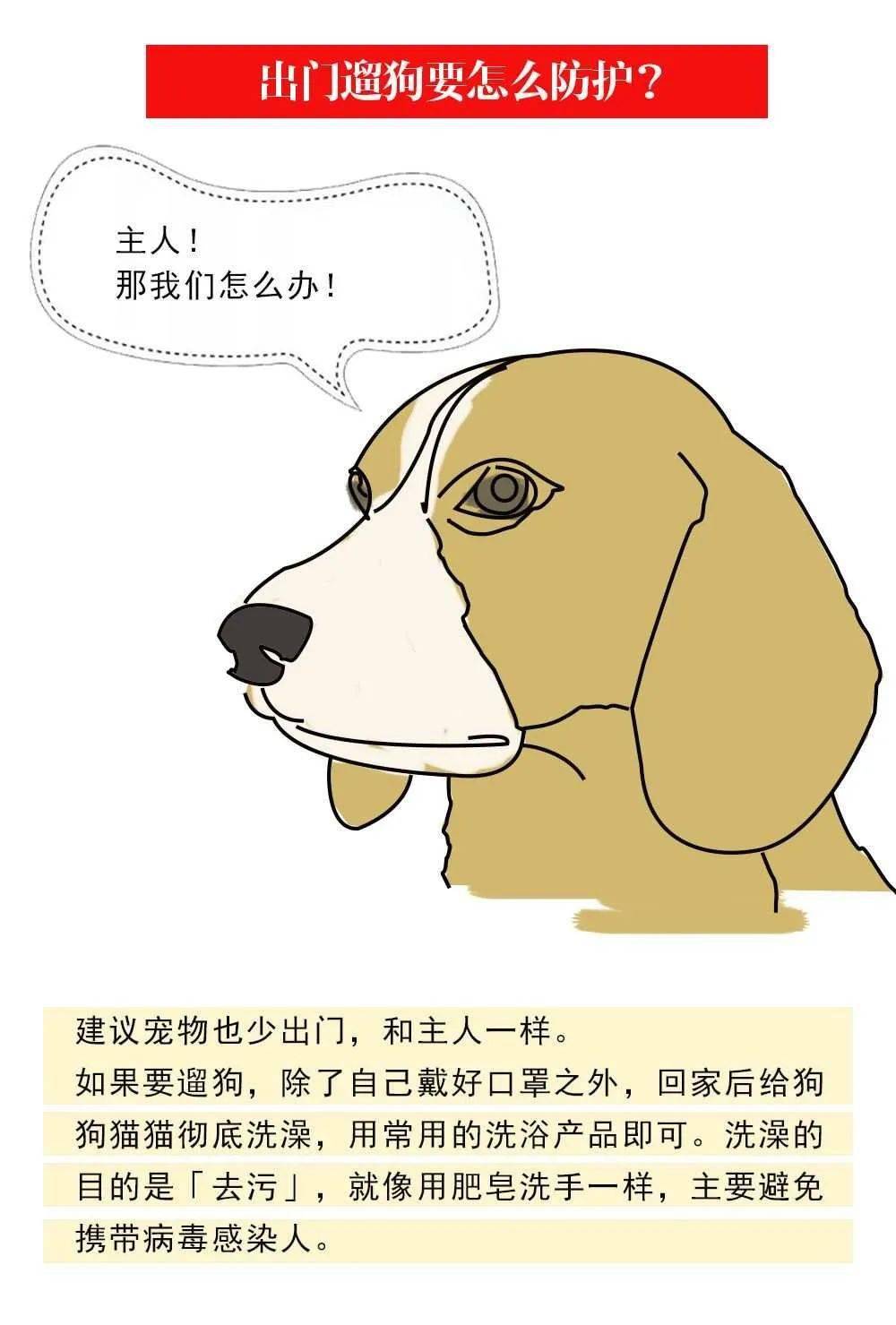 来源|宅在家，做好这些防范