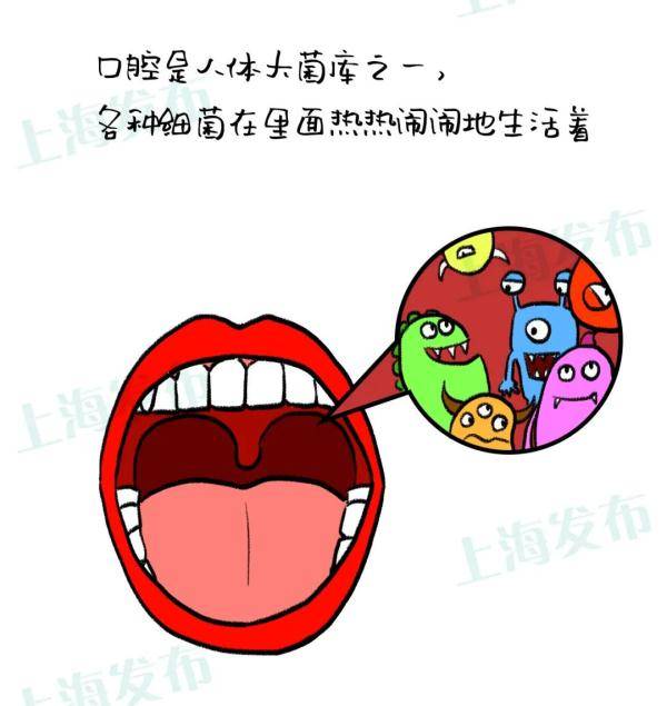 牙齿|刷牙出血？因为口腔太脏！来听牙菌斑的悄悄话~