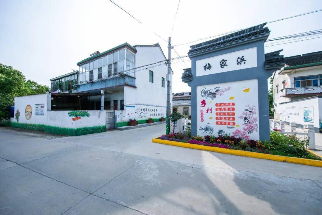 吴江农村人居环境整治8月"红黑榜"出炉!看看你们村上了哪个榜?_建设