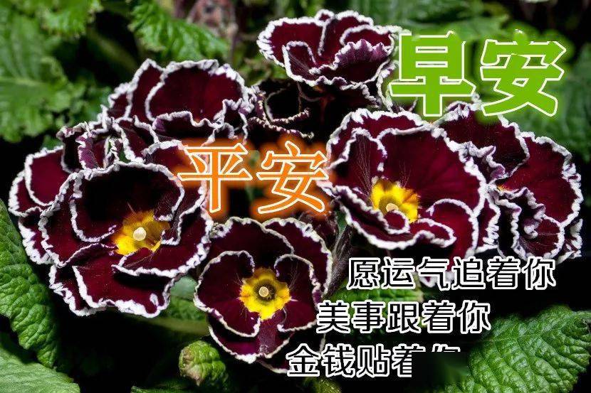 最漂亮早上好动态表情图片大全早晨好动图美图大全