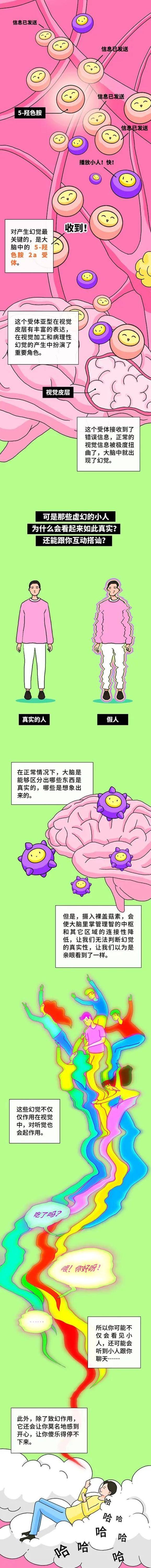 Schmidt|吃蘑菇中毒后，会看见什么？