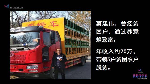 李建科|没有蜜蜂，90%的水果会消失，生态系统将崩溃 | 李建科