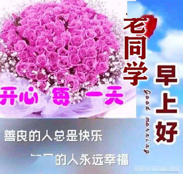 早上好表情包问候老同学愿我们一起与健康快乐同行