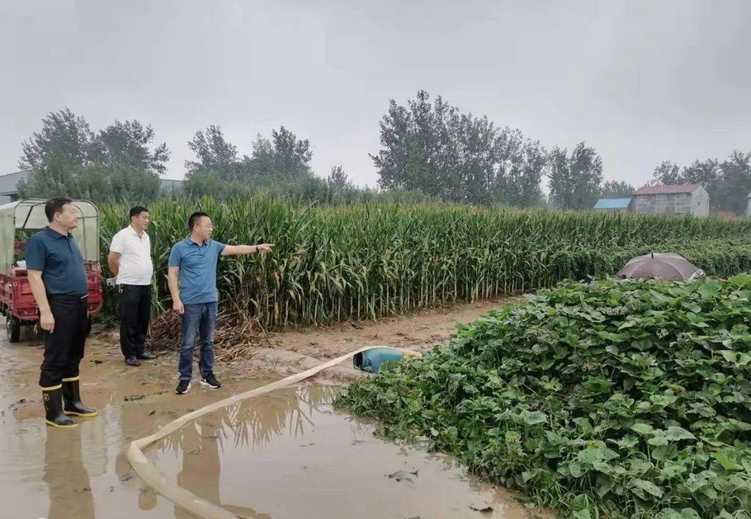 民权县王桥镇多措并举抢排田间积水 确保秋粮丰产丰收