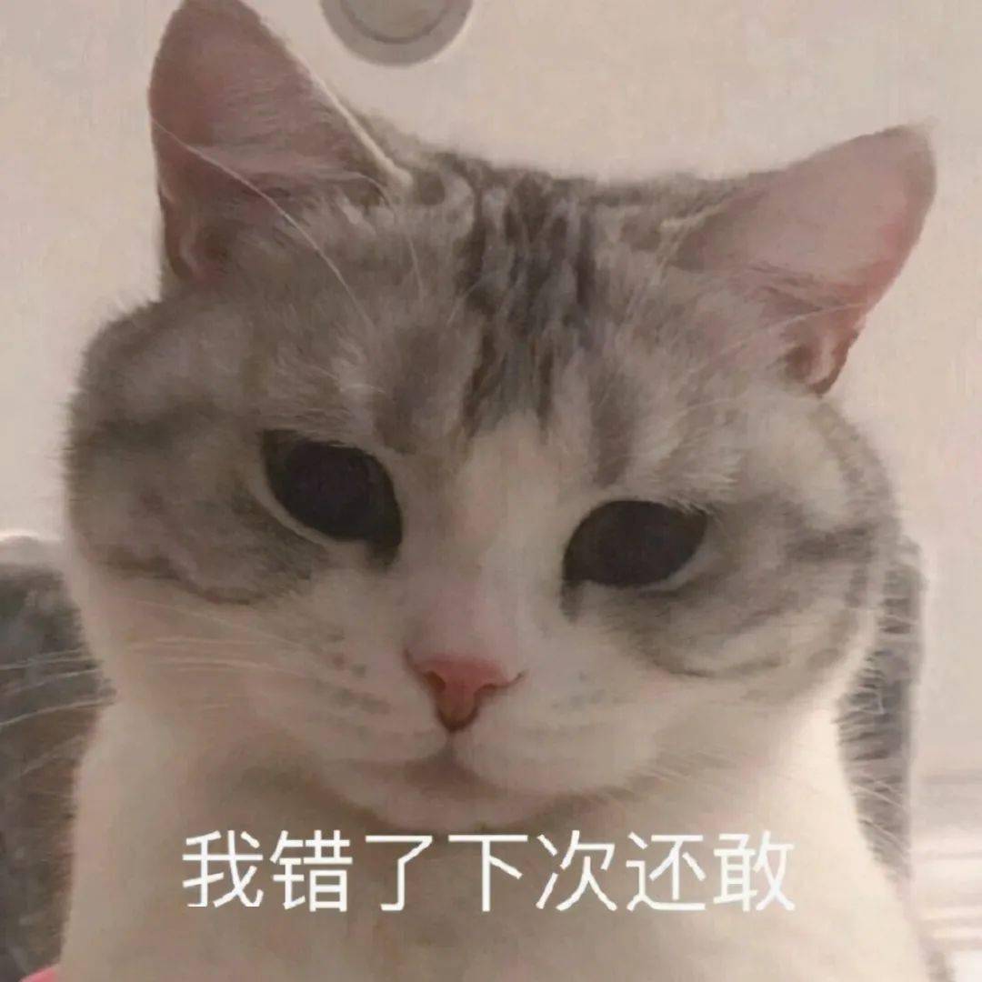 6d84e6cf1f4b4c82815de863cb749606.jpeg