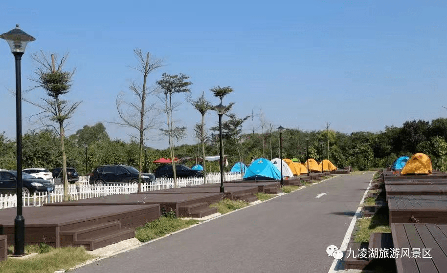 这个秋天送你一份贵港露营攻略吃香喝辣一起睡在森林里