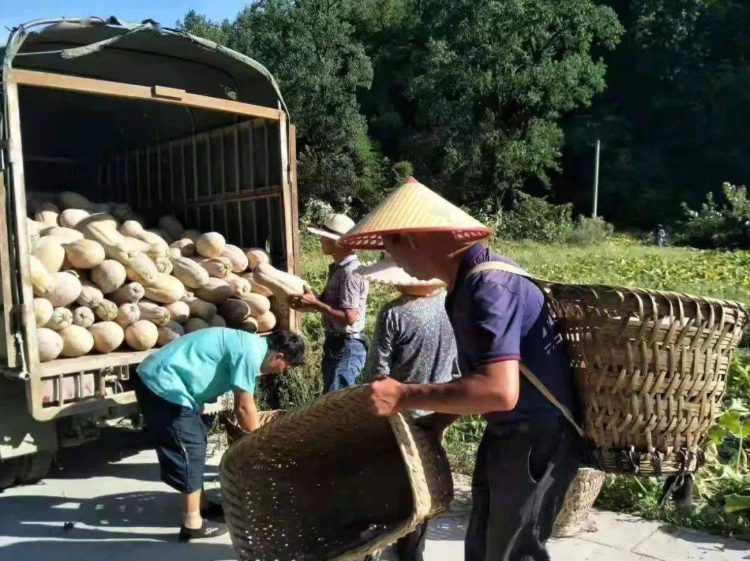 开阳县楠木渡镇黄木村图片