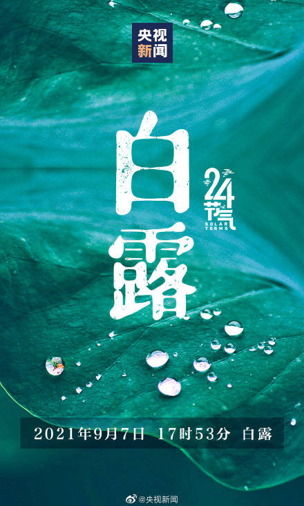 时节|今天白露，最舒适的时节来啦！转起迎接！