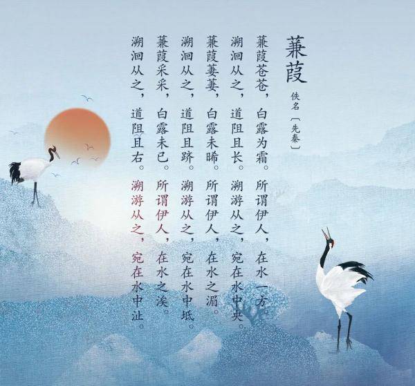 延年|白露 | 水月相逢，人间仲秋