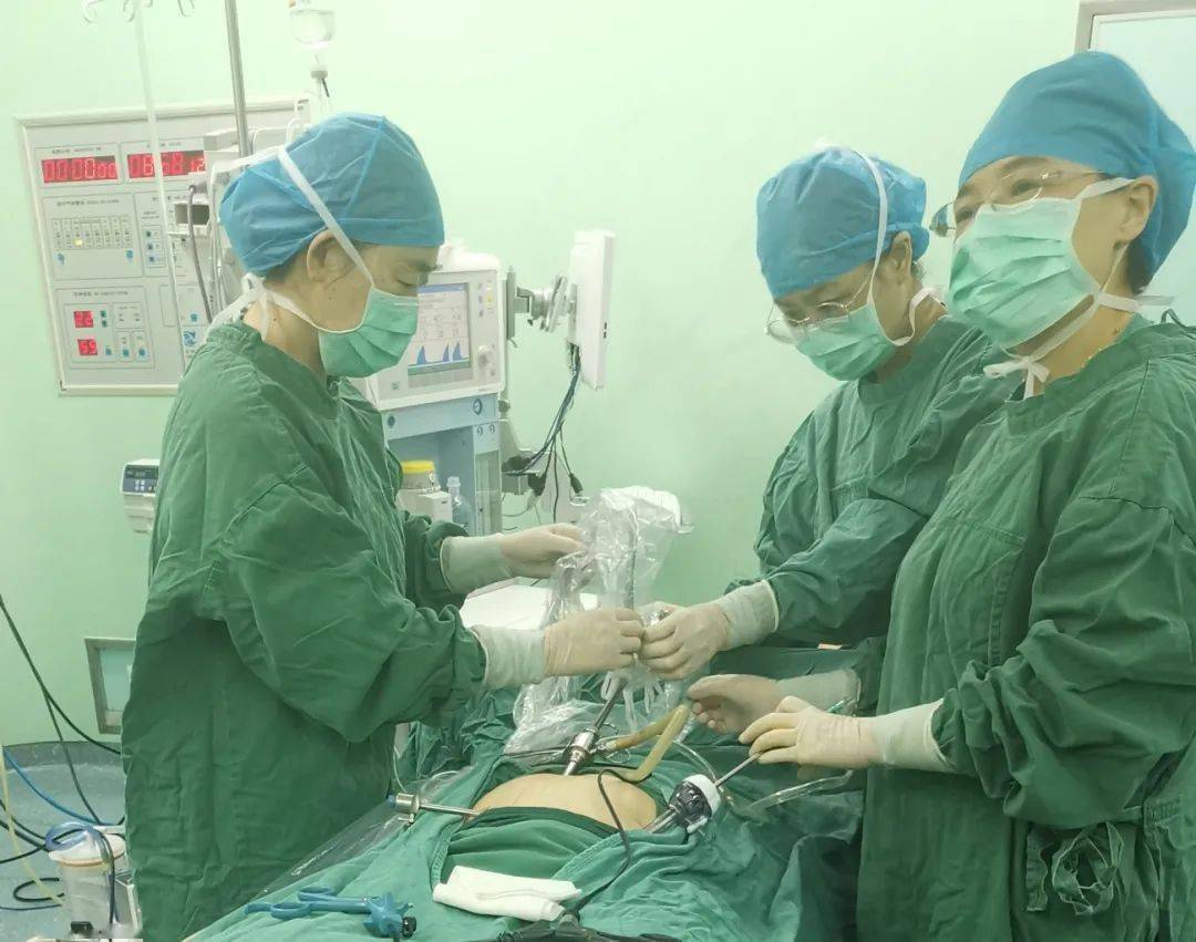 治疗|精诚协作,共同守护肾病患者生命线