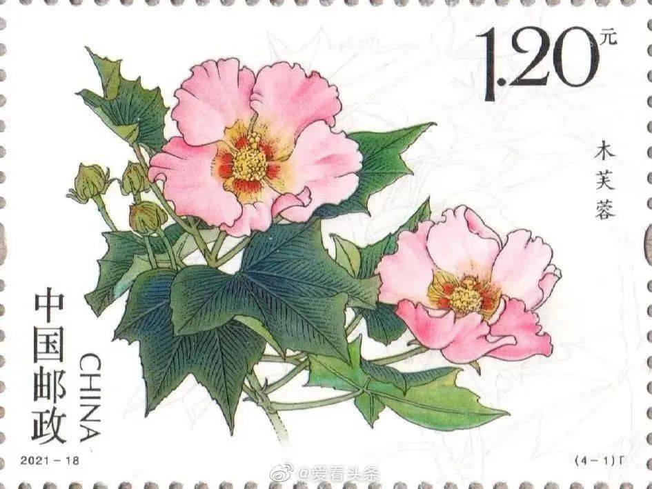 成都市花邮票明日全国发行头条联播