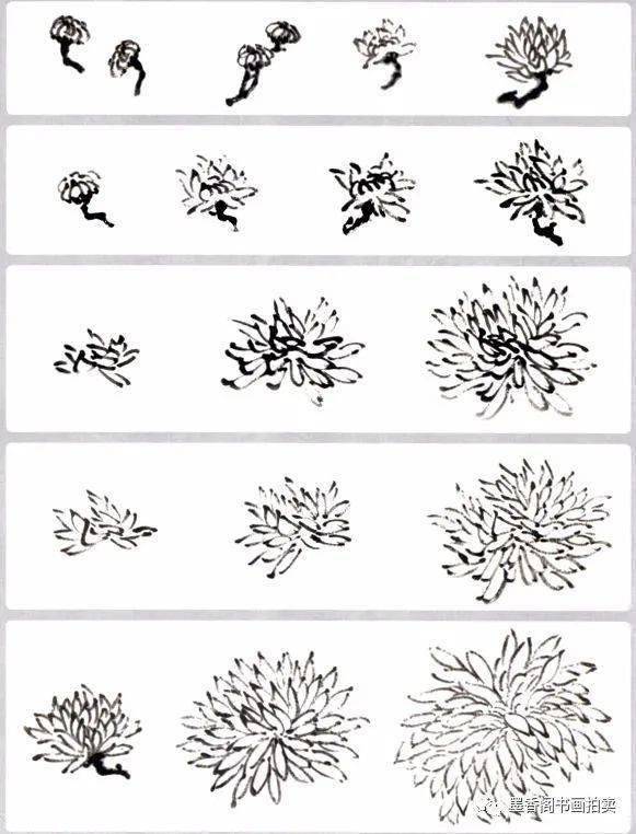 国画教程:写意画菊技法