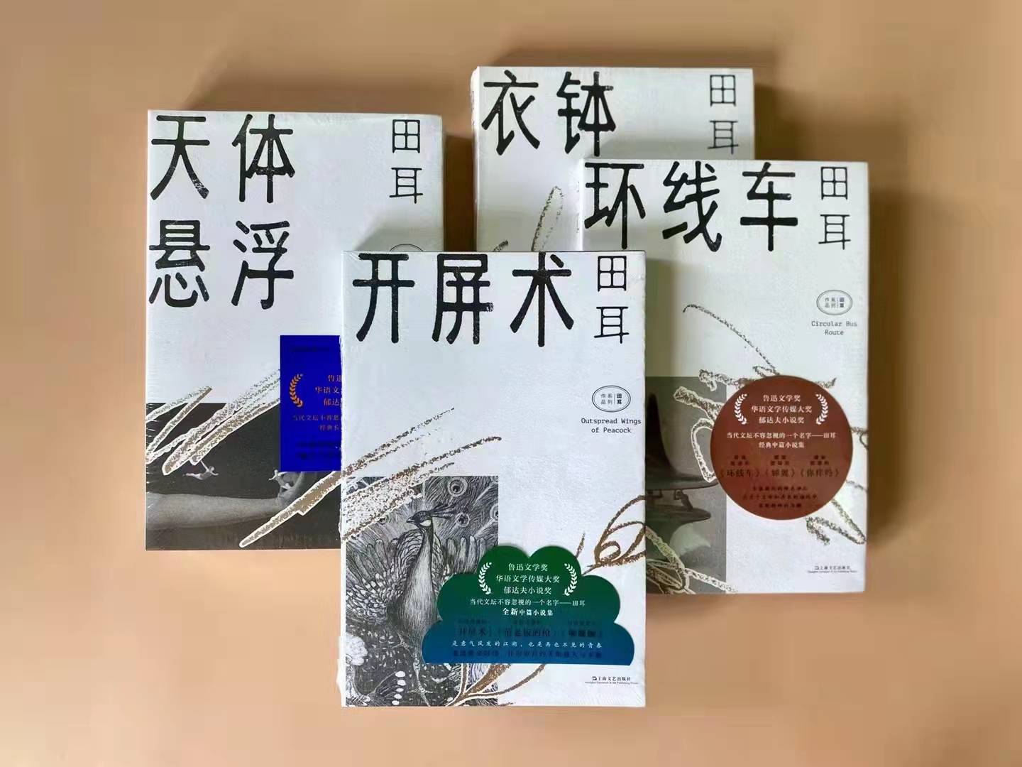 专访田耳开屏术用虚构接近真实