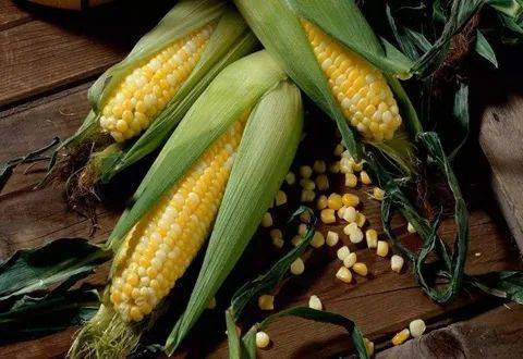 蔬菜|6种完美减脂消水肿的早餐食谱，收藏！