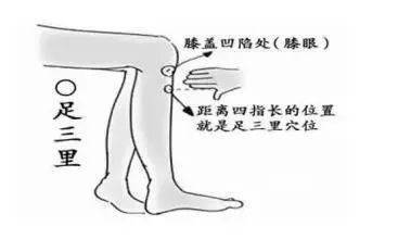 47471ecbedc44a67ba6048250ce6caa6.jpeg