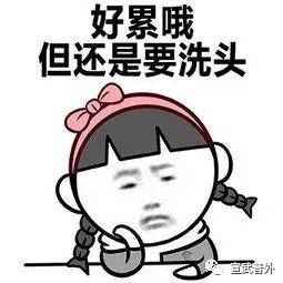 间隔|每天都洗头，会秃吗？