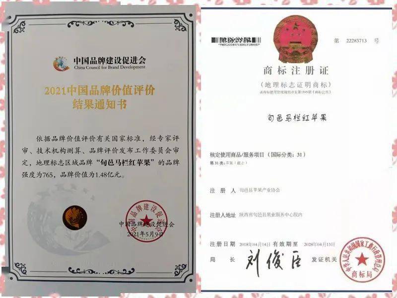 67旬邑地理标志区域品牌"旬邑马栏红苹果"评价价值1.48亿元_企业