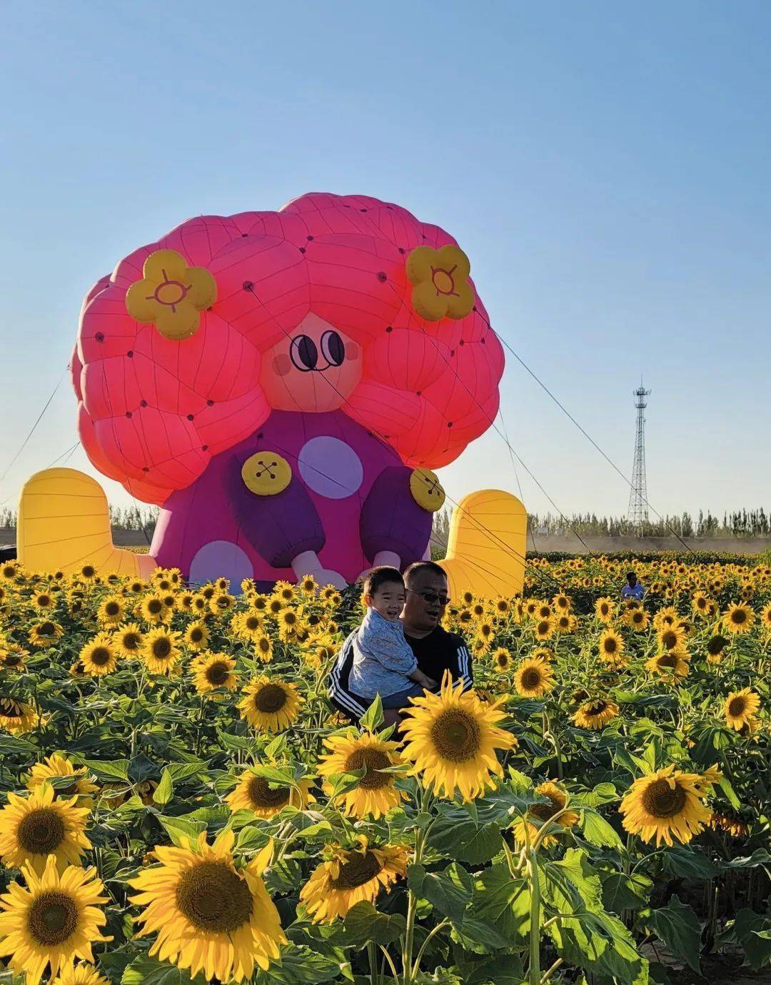 其其格大地艺术巡展走进巴彦淖尔向日葵花海_蒙古