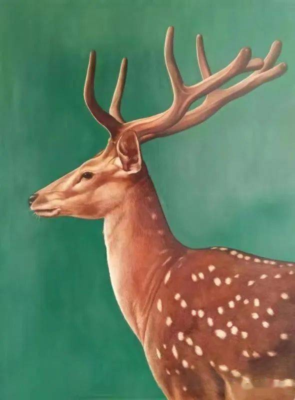 钟健和油画作品《我家的羊群》入选作品曾沂聂油画作品《虚林憨影》