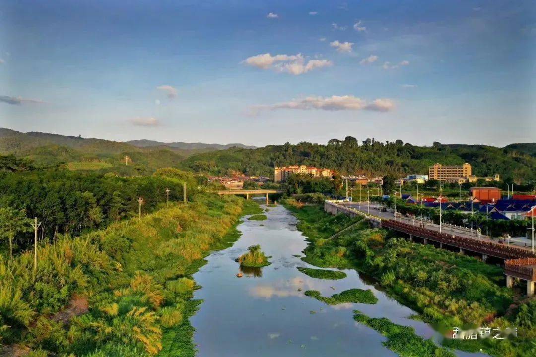 文明实践 | 志愿服务促文明 开启勐腊镇创卫"加速度"