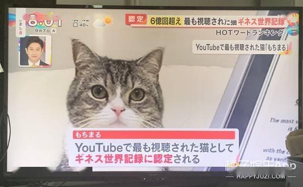c464ed724c1b4a5f8ab97e60470cefa0.jpeg