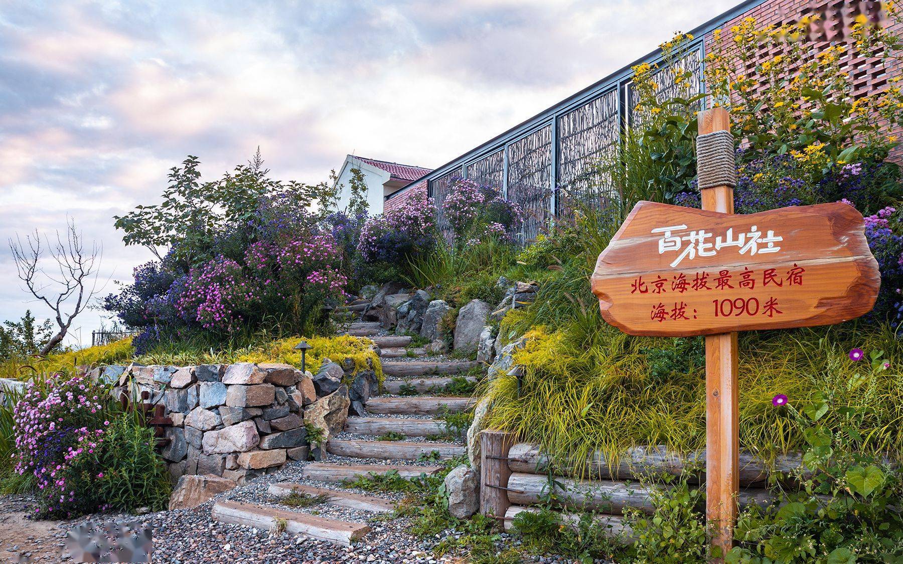 黄安坨村民宿百花山社.