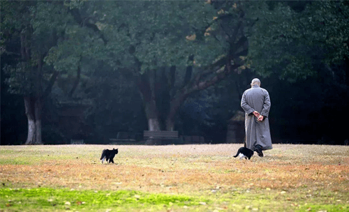 有缘之人, 迟早遇见,和谐长伴; 无缘之人, 陌路擦肩,永不再见.