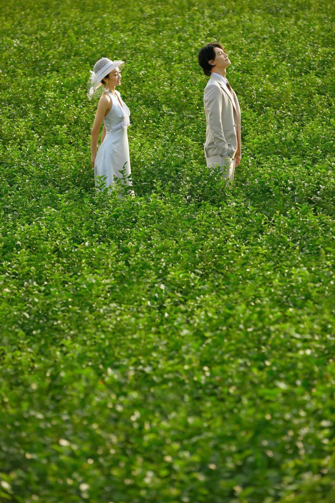 来 香一个 茉莉花