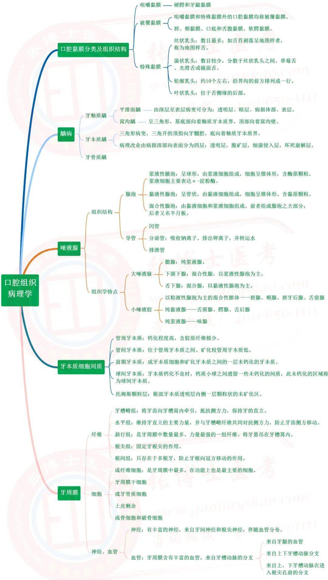 口腔口腔組織病理學思維導圖