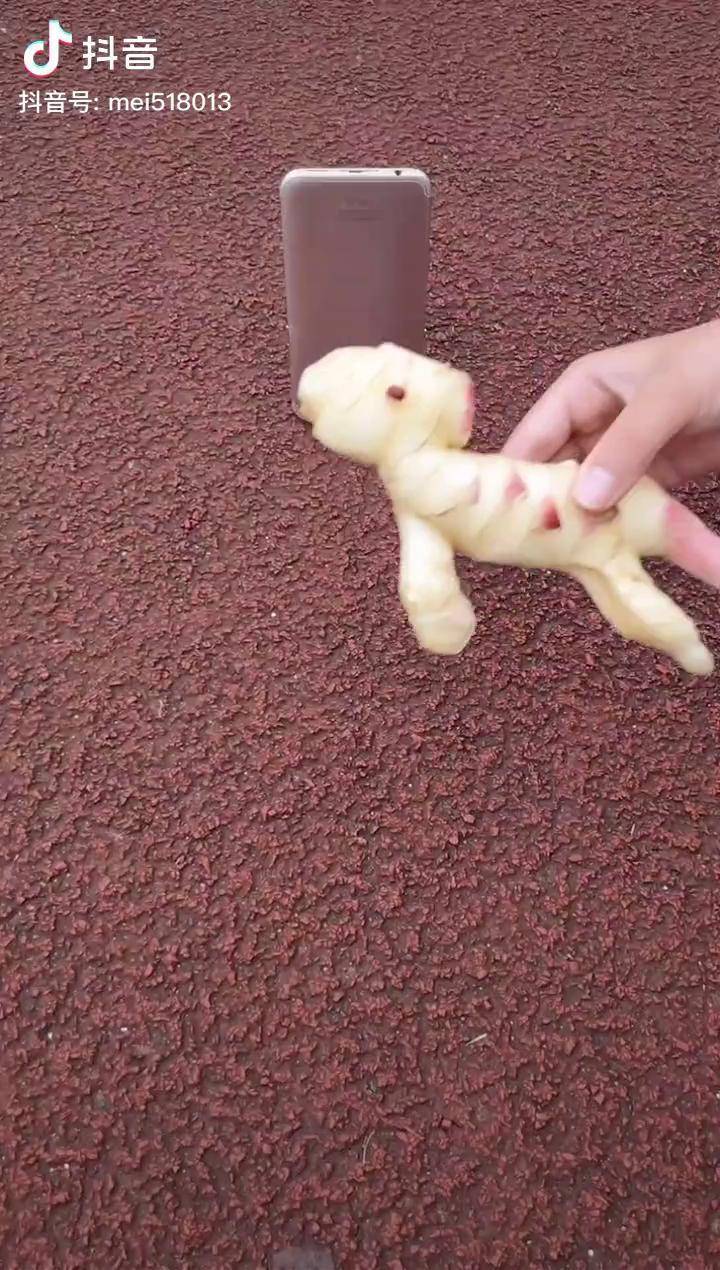 小小生姜教你拍创意照片简单又好玩picsart教程创意拍摄创作灵感手机