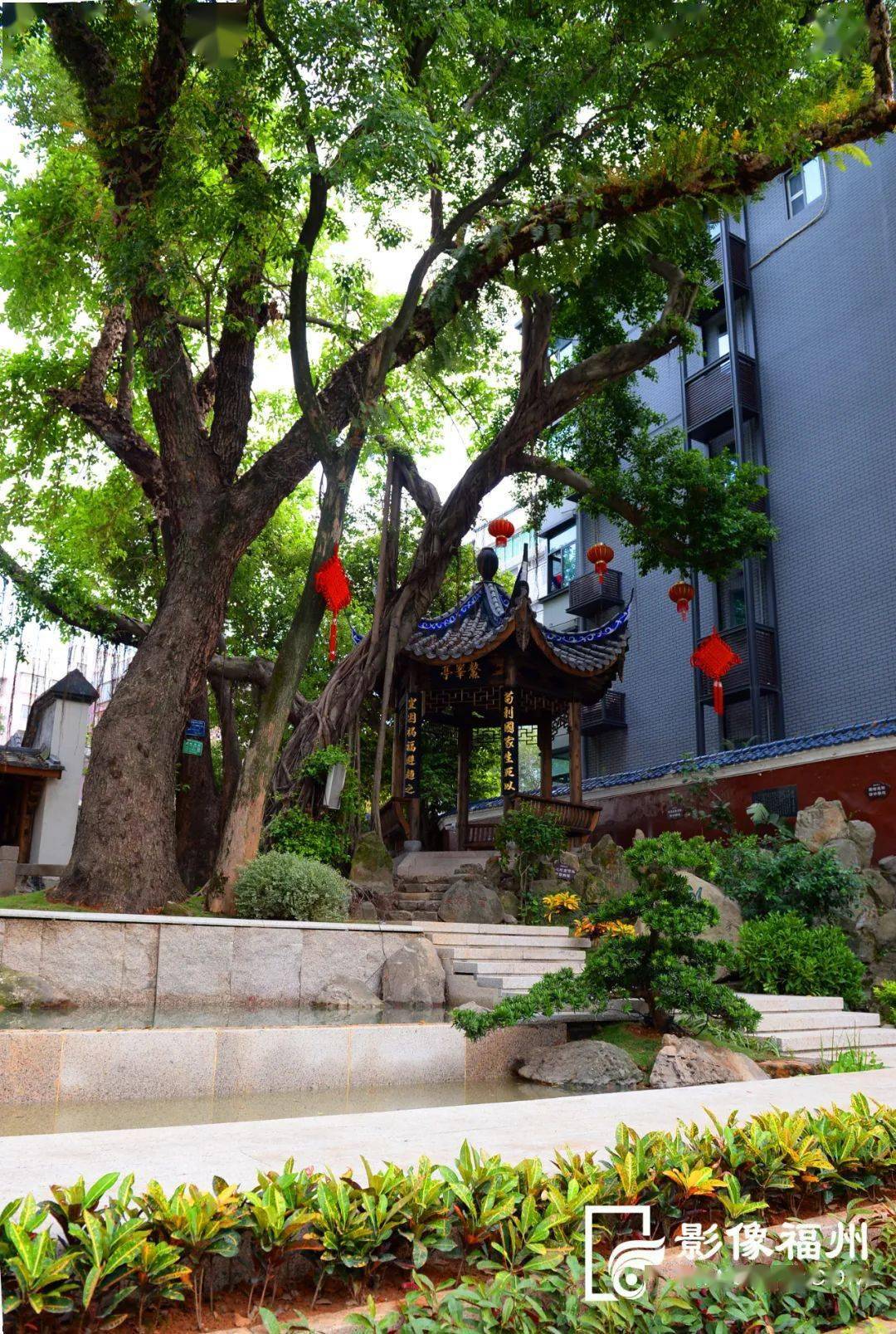 教师节丨来一场鳌峰书院的穿越之旅_值日生