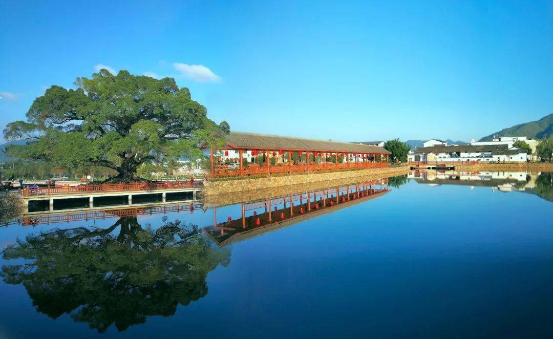 龙南市持续推进新农村建设全力谱写美丽宜居新篇章