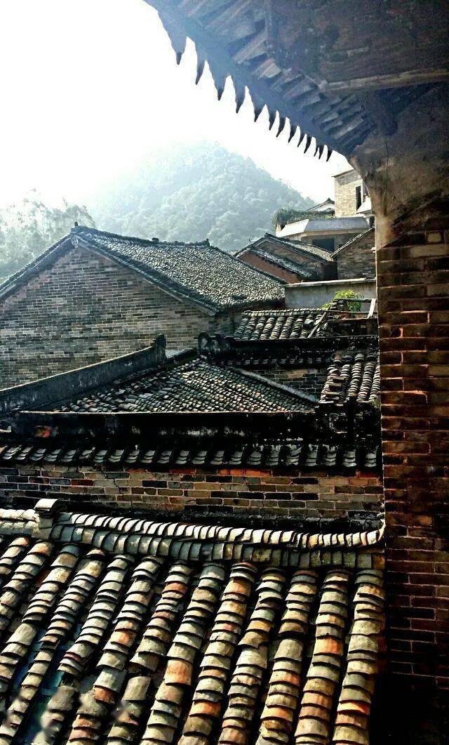 来 香一个 茉莉花