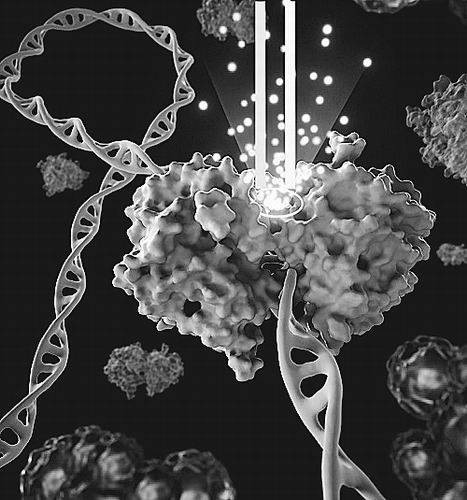 受体|“新钥匙”打开乳腺癌耐药“锁”