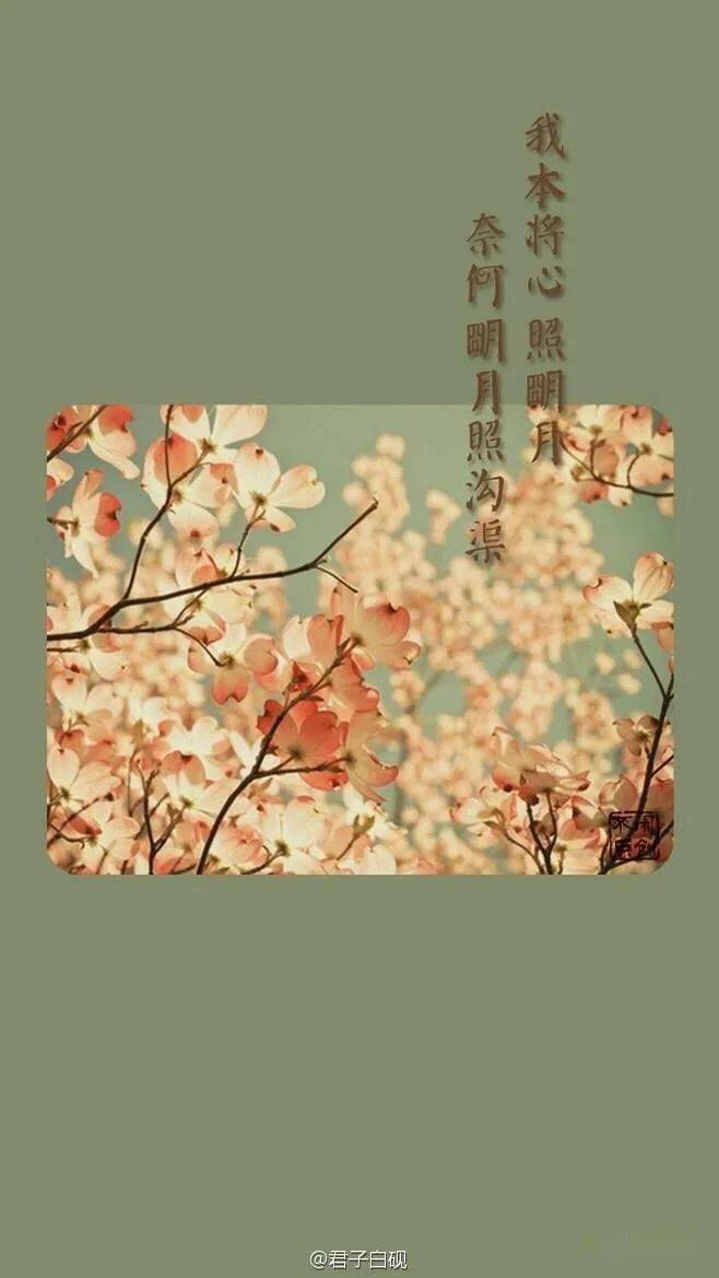 你爱了吗~(戳蓝字即可阅读)●原创稿都源于古风楼兰作者编辑:桃子