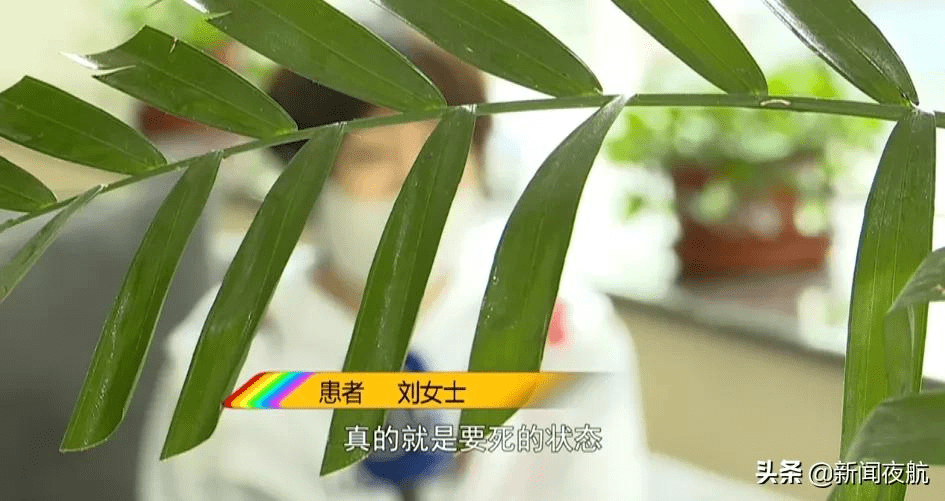 女士|女子吃完退烧药差点丧命，呼吸机都戴上了！省医院医生：这一点很多人都忽视了