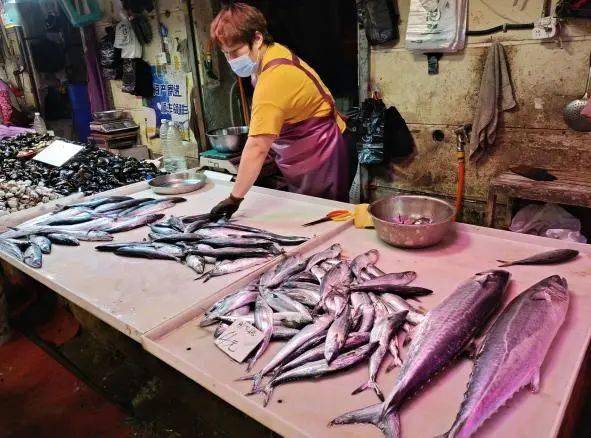 鱼虾 成主角 这个水产品竟意外 爆舱 双节将至 海鲜价格会大涨吗 Lol春节元宝 元始天尊演义 未来战士凯特琳